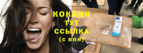 шишки Абаза