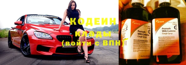 шишки Абаза