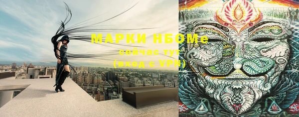 шишки Абаза