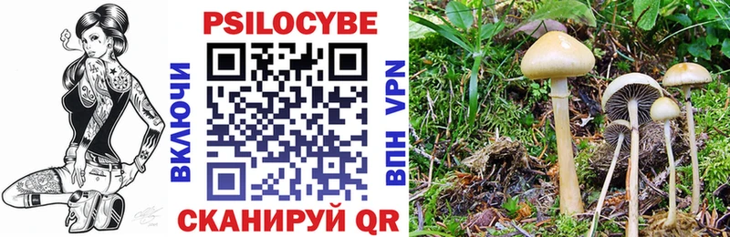 Псилоцибиновые грибы Cubensis  Горбатов 